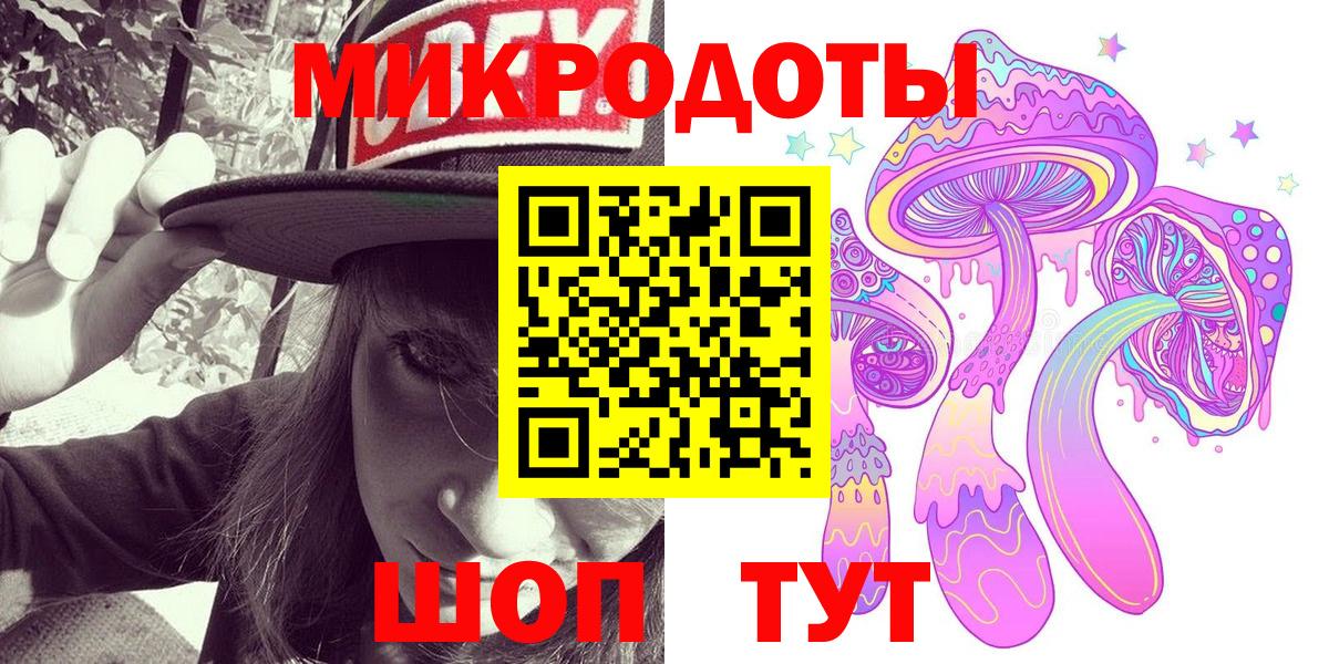 Галлюциногенные грибы Psilocybe Родники