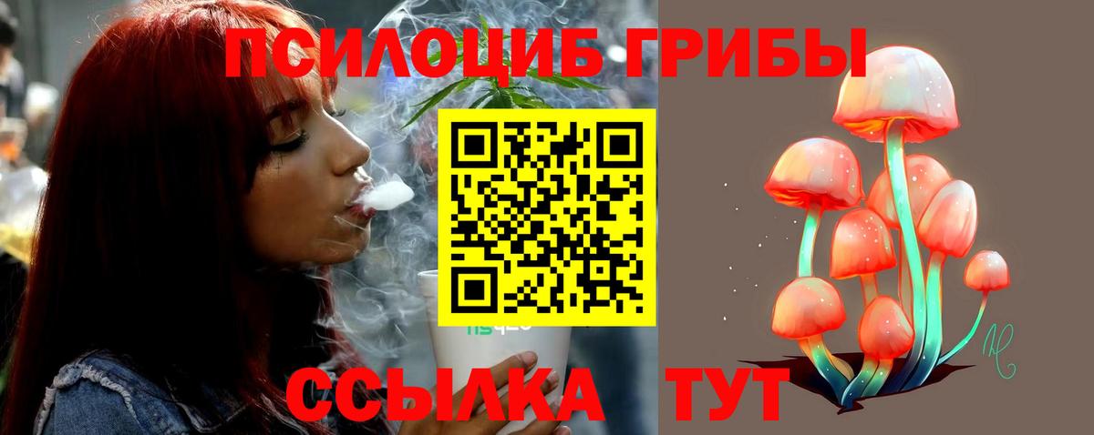Галлюциногенные грибы Cubensis  Вход с VPN  Родники 